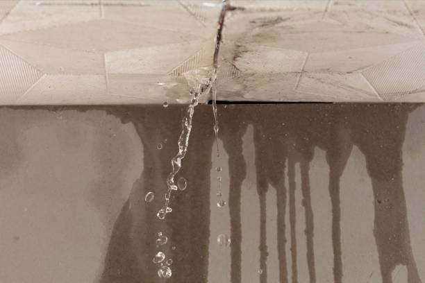 Professional Burst Pipe Cleanup technician working in Brighton, TN